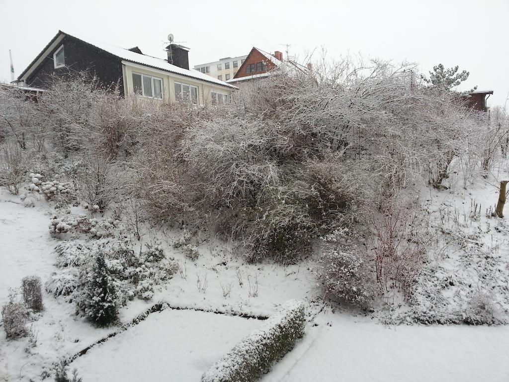 Ferienwohnung Am Paradies Bad Lauterberg Eksteriør bilde